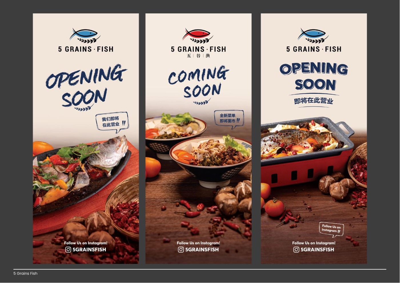 5 Grains Fish menu and branding design